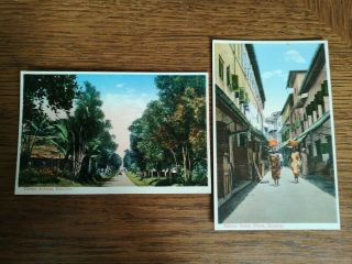 Vintage Postcards X2 Colour.  Zanzibar Cloves Avenue And Narrow Indian Street