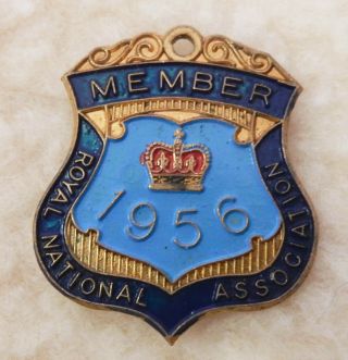 Vintage Enamel Member Badge.  