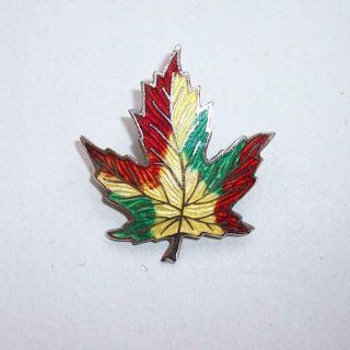 Vintage Guilloche Enamel Sterling Silver Canadian Maple Leaf Brooch Pin Amco