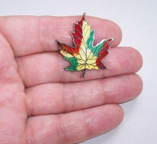 Vintage GUILLOCHE ENAMEL Sterling SILVER Canadian MAPLE LEAF BROOCH Pin AMCO 3