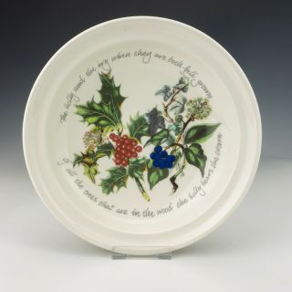 Vintage Portmeirion Pottery - Botanic Garden - 8½ " Christmas Soup Bowl - Lovely