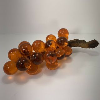 Vintage Mid - Century Lucite Acrylic Grape Cluster On Driftwood Stem Amber Orange