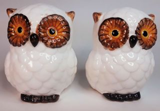 Vintage Norcrest Ceramic White Big Eye Owl Salt And Pepper Shaker Set Japan