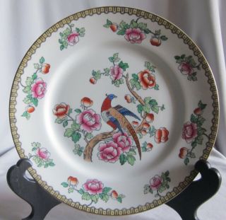 Vintage 8 7/8 " Luncheon Plate F Winkle Pheasant Pattern