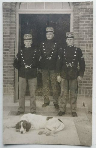Vintage Photo Postcard: Three Danish Soldiers With Big Tired Regiment Dog 1920