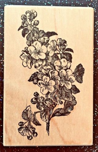 Vintage Rubber Stamp " Orange Blossom Flower " By Stampa Barbara 2 3/4 X 1 3/4 "
