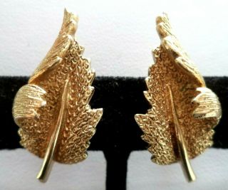 Stunning Vintage Estate Signed Coro Gold Tone Leaf 1 1/4 " Clip Earrings 3780n
