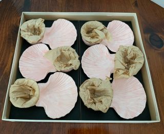 Vtg Mcm Set Of 6 Karoff Sea Servers Seafood Shrimp Cocktail Pink Shell Dishes