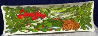 Vtg Mid Century H.  J.  Stotter Rectangular Tidbit Relish Tray Vegetable Pattern