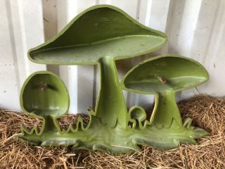 mushroom wall hanging 1970s plastic plaque made by Dart Industries 19.  5 by 14 2