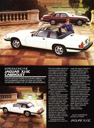 1986 Jaguar Xj - Sc Cabriolet & Coupe Photo " Race - Bred " Vintage Promo Print Ad