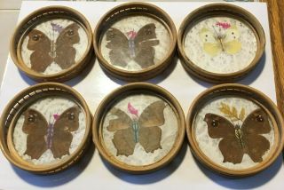 Vintage Pressed Butterfly Wood Coasters Set Of 6 - 3 1/2 " - Price Products