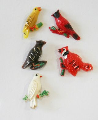5 Vintage Plastic Realistic Bird Painted Buttons From Birds On A Limb Set
