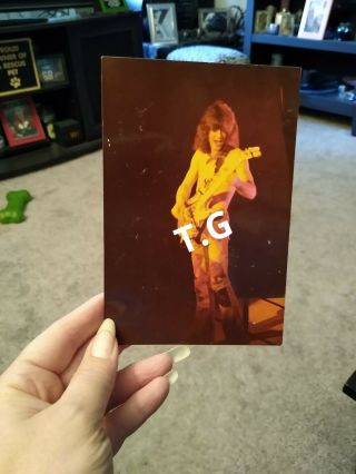 Vtg Eddie Van Halen Actual Photograph Photo Shirtless Live Concert Poster Rip