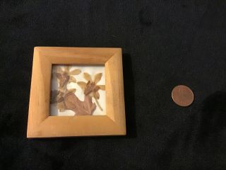 Vintage Pressed Dried Flowers Leaf In Small Frame Tiny