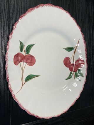 Vintage Blue Ridge Southern Pottery Crab Apple Oval Serving Platter 14”