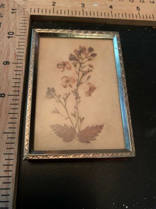 Vintage Dried Pressed Flowers Rectangular Picture Frame