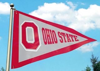 Ohio State Buckeyes Pennant 3x5 Flag Applique Embroidered Banner University Of