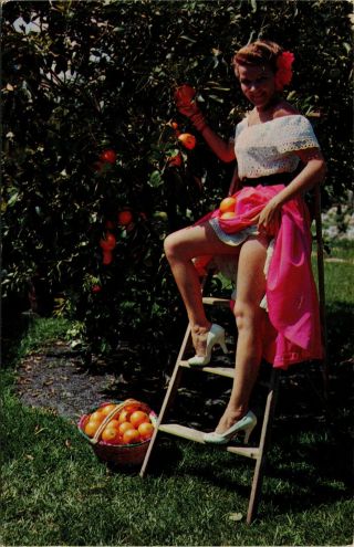 Postcard Risque Sexy Florida Oranges Vintage A5