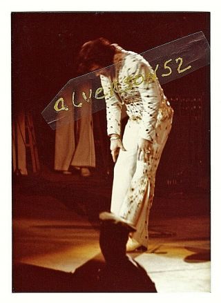 Elvis Presley Vintage Concert Photograph - Auburn,  Al - March 5,  1974