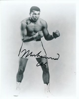 Muhammad Ali Boxing Champ Signed/autographed 8x10 B/w Photo Psa/dna 154766