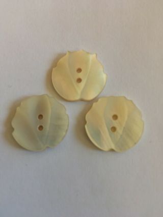 3 Vintage Mother Of Pearl Mop Buttons Fancy Carved Lotus Flower 2 Hole 3/4”