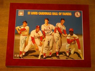 St Louis Cardinals Hall Of Famers Signed Matted Print Musial Gibson,  3 18 X 23