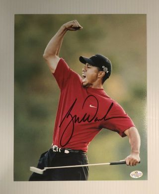 Tiger Woods Signed Autographed 8x10 Photo With