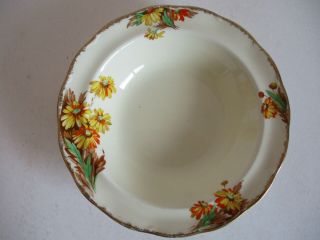 Vintage Grindley England Cream Petal Dessert Or Soup Bowl - Autumn Theme