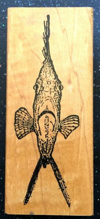 Vintage Rubber Stamp " Front Pic Of Ocean Angel Fish " By Stampians 3 1/2 X 1 1/2 "