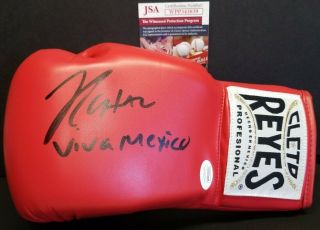 Julio Cesar Chavez Signed " Viva Mexico " Cleto Reyes Boxing Gloves.  Witness Jsa
