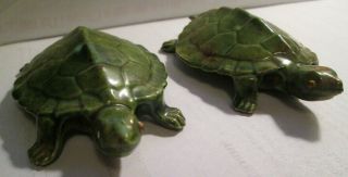 Vintage Turtle S Male & Female Sea Turtles Set Of 2 Boy And Girl Anamorphic