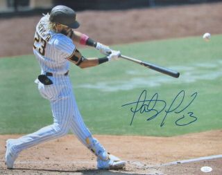 Fernando Tatis Jr.  San Diego Padres Signed/autographed 16x20 Photo Jsa 155563