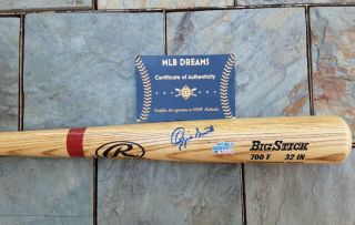 Signed St Louis Cardinals Hof Ozzie Smith Baseball Bat Proof 1982 Ws Champ