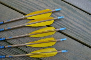 5 Vintage Bear Cedar Arrows - Tan W/5 Feathers Cut 29 " -