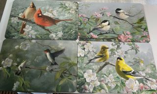 Vintage Set Of 4 Pimpernel Hard Board Cork Placemats Hummingbird Birds Floral