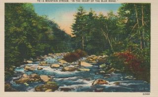A Mountain Stream " In The Heart Of The Blue Ridge " Nc Linen Vintage Postcard