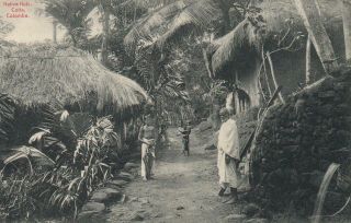 Vintage Ceylon Sri Lanka Native Huts,  Cotta,  Colombo Postcard