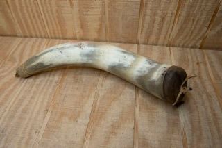 15 Inch Vintage Powder Horn With End Cap And Plug