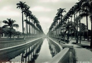 1923 Vintage Doubleweight Photo Palm Trees Line Avenida Do Mangue Rio De Janeiro