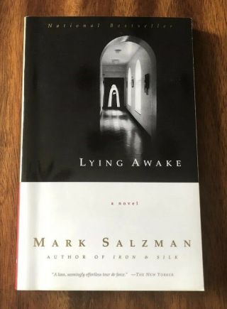 Vintage Contemporaries: Lying Awake By Mark Salzman (2001,  Paperback)