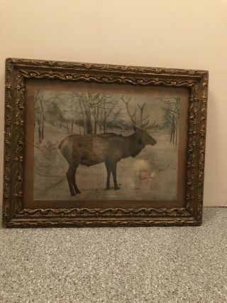 Antique Vintage Cabin Art Print Elk 1907 Framed
