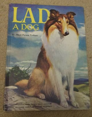 Vintage Book Lad A Dog Hardcover By Albert Payson Terhune 1976 Collie Dog