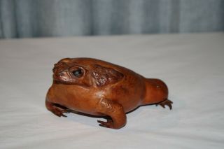 Authentic Vintage Taxidermy Stuffed Toad Frog