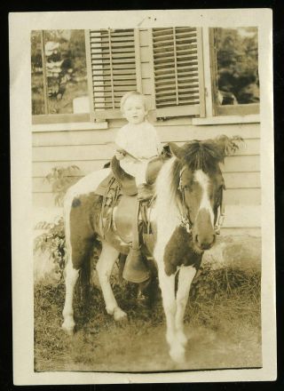 Vintage Photo Little Boy On Traveling Pony Ride Horse Souvenir Photo 1940 