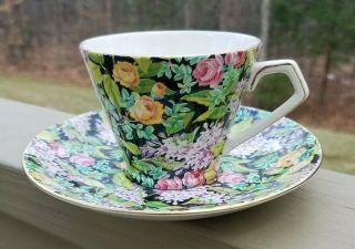 Lord Nelson Ware Chintz Cup And Saucer Black Beauty Vintage English C 1960 Bcm
