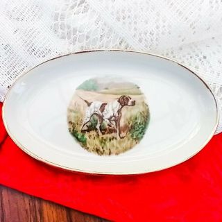 Vintage Shorthaired Pointer Hunting Dog Oval Porcelain Plate Butter Pat 5 "