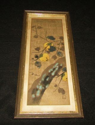 Vintage Chinese Ink And Color Painting Persimmons Seal Framed 9 1/2 " X 21 1/2 "