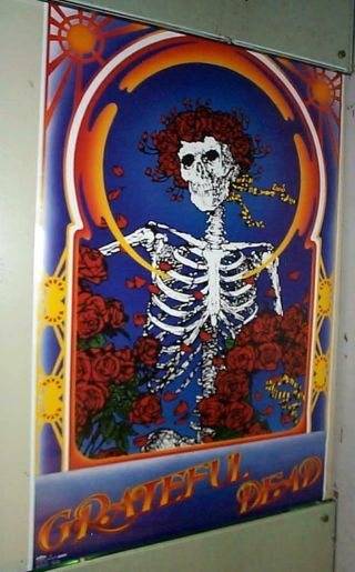 Grateful Dead Skull & Roses Vintage 1985 Poster Last One