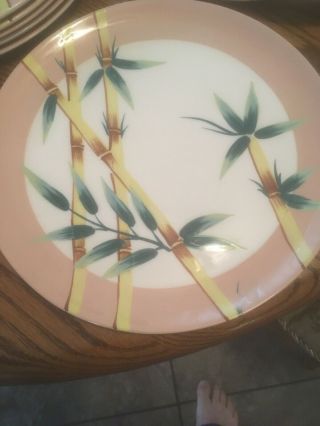Vintage Set of 8 Weil Ware Large Dinner Plates Bamboo Design 2